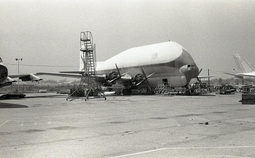 Pregnant Guppy, 1976