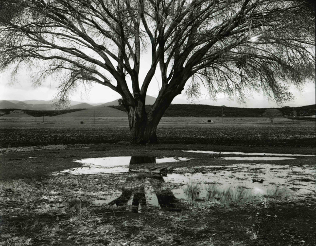 Prescott Az in 2007: image 1.
