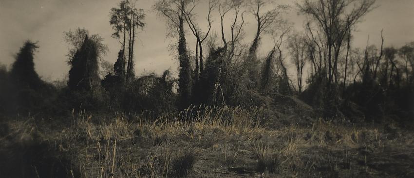 Primordial Stew (Holga Pano)