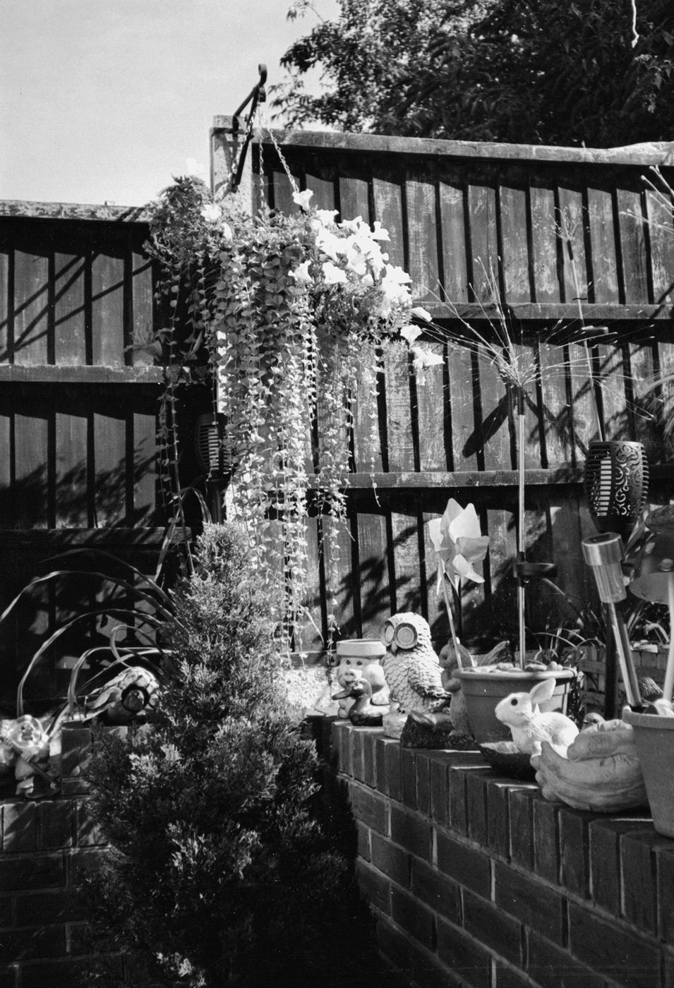 Print from PENTAX 17 02