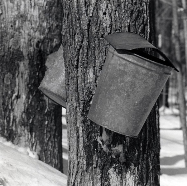 Print one neg - sap bucket
