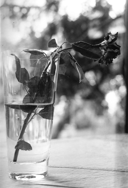 Probelm with film