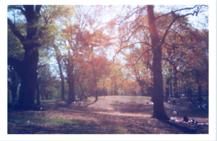 Prospect Park Brooklyn NY