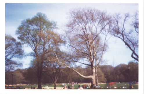 Prospect Park Brooklyn NY