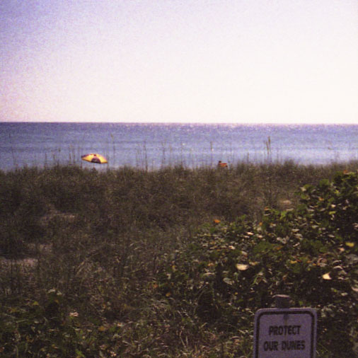 Protect Our Dunes