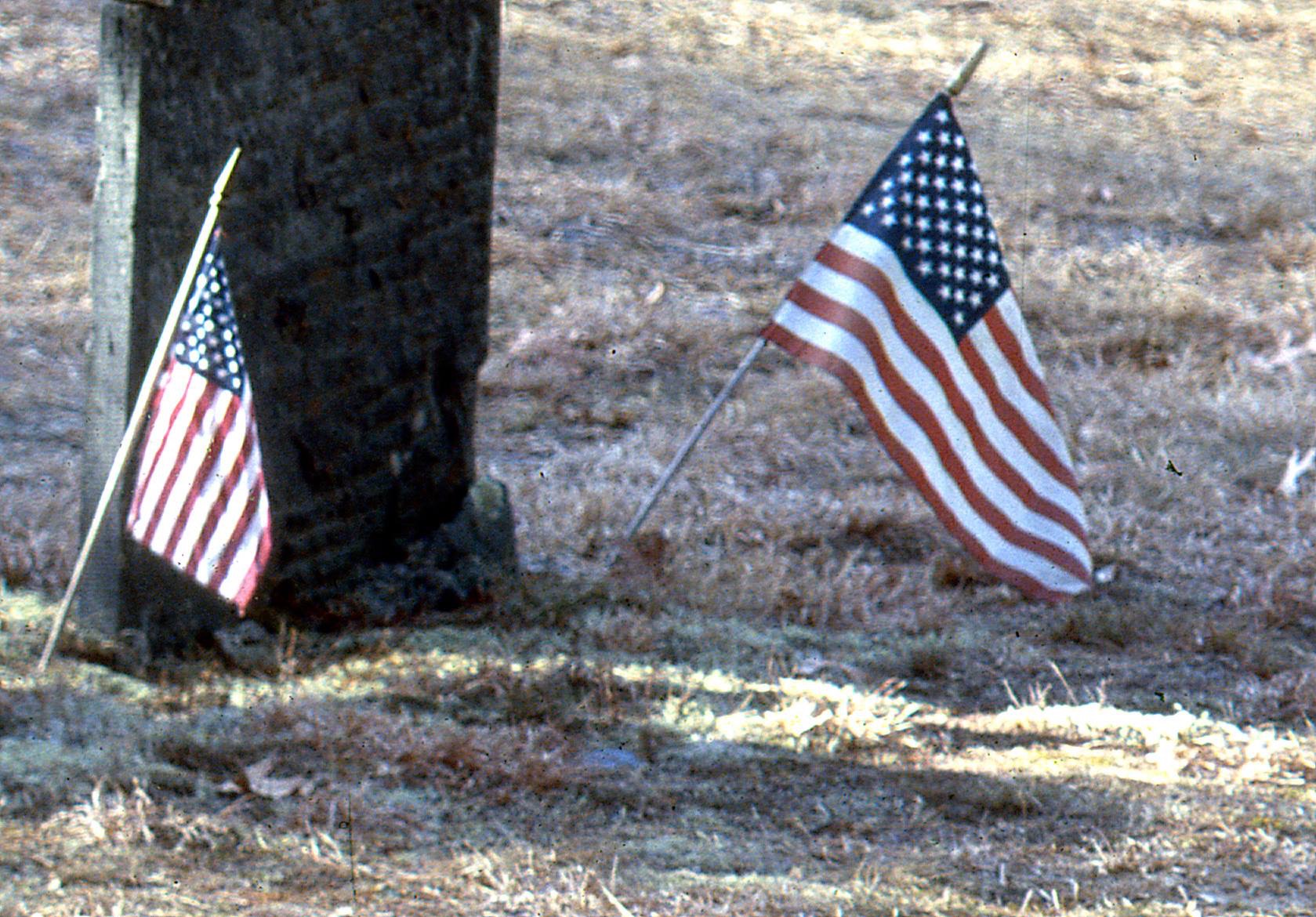 Provia 100F - Flags