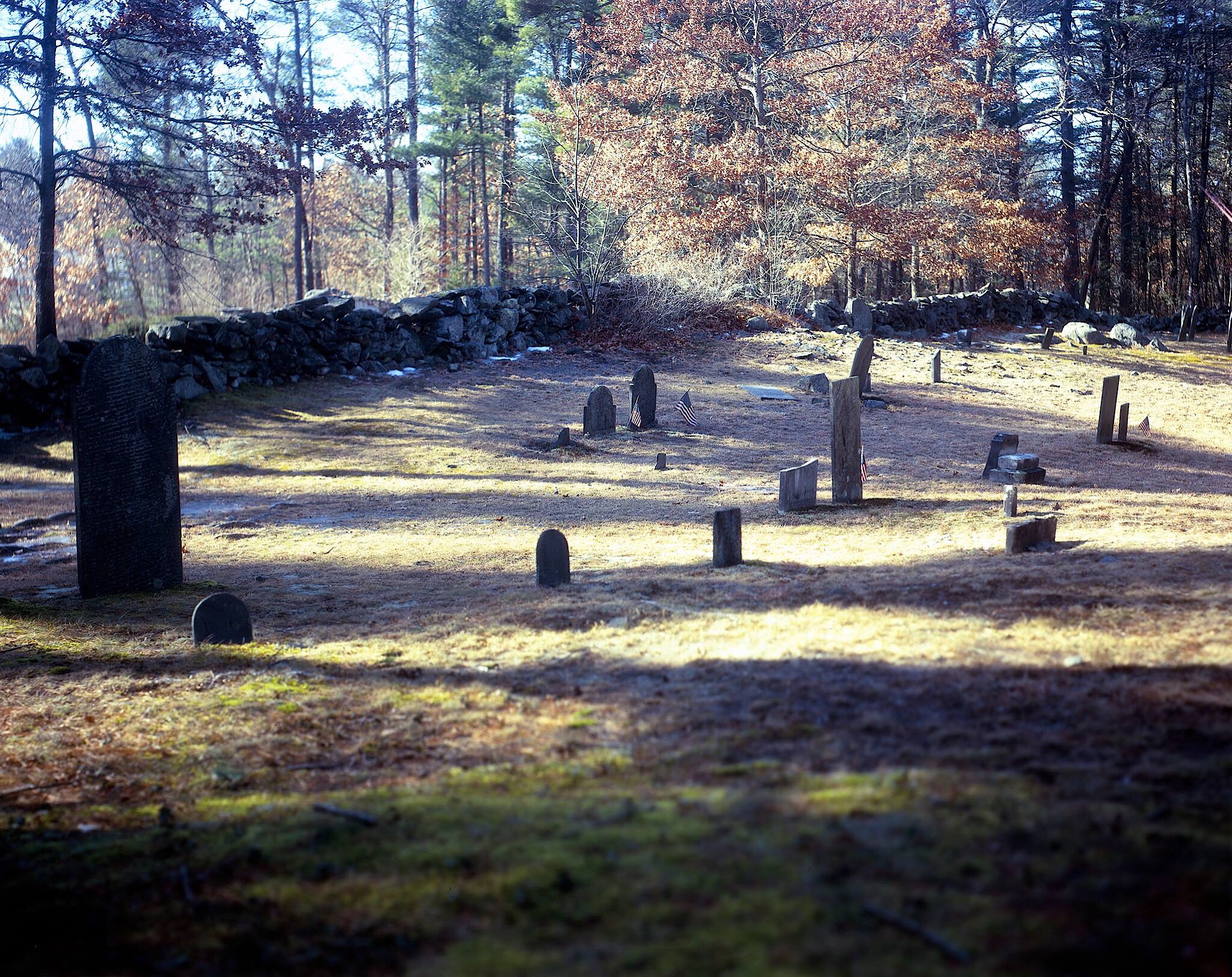 Provia 100F - No Ghosts