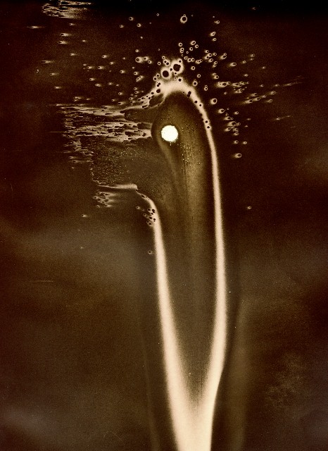 Psychedelic Duck