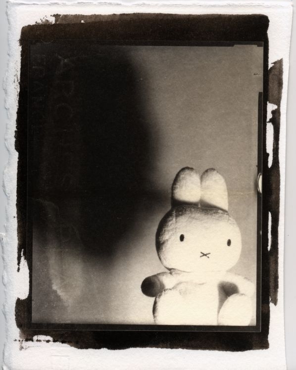 Psycho Bunny (Palladiotype)