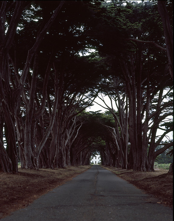 Pt Reyes District Office
