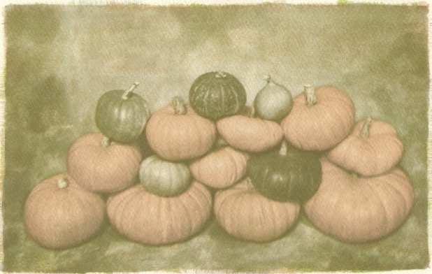 Pumpkin Harvest 2