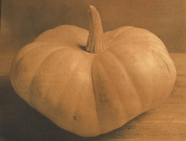 Pumpkin