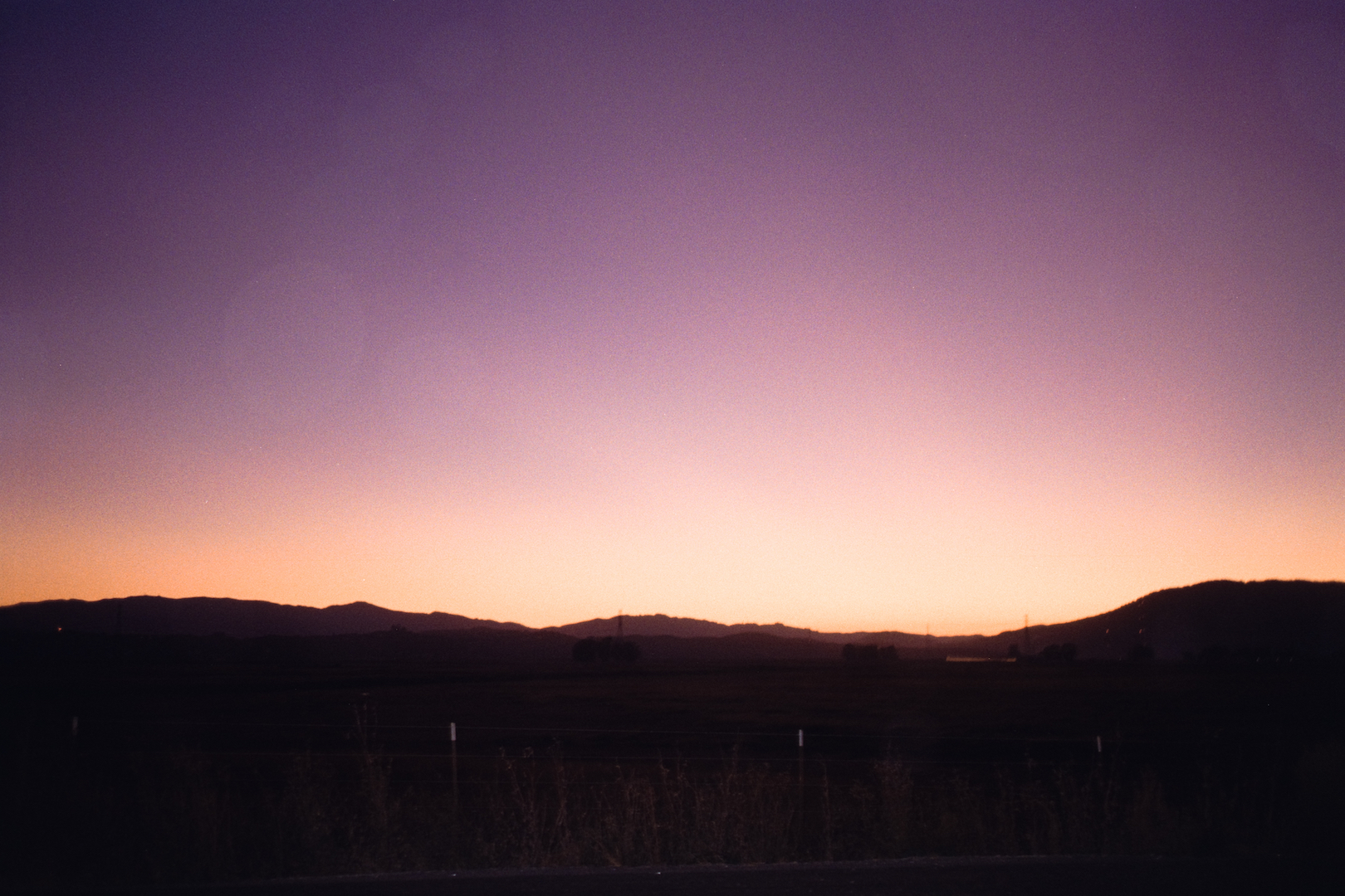 Purple Sunset