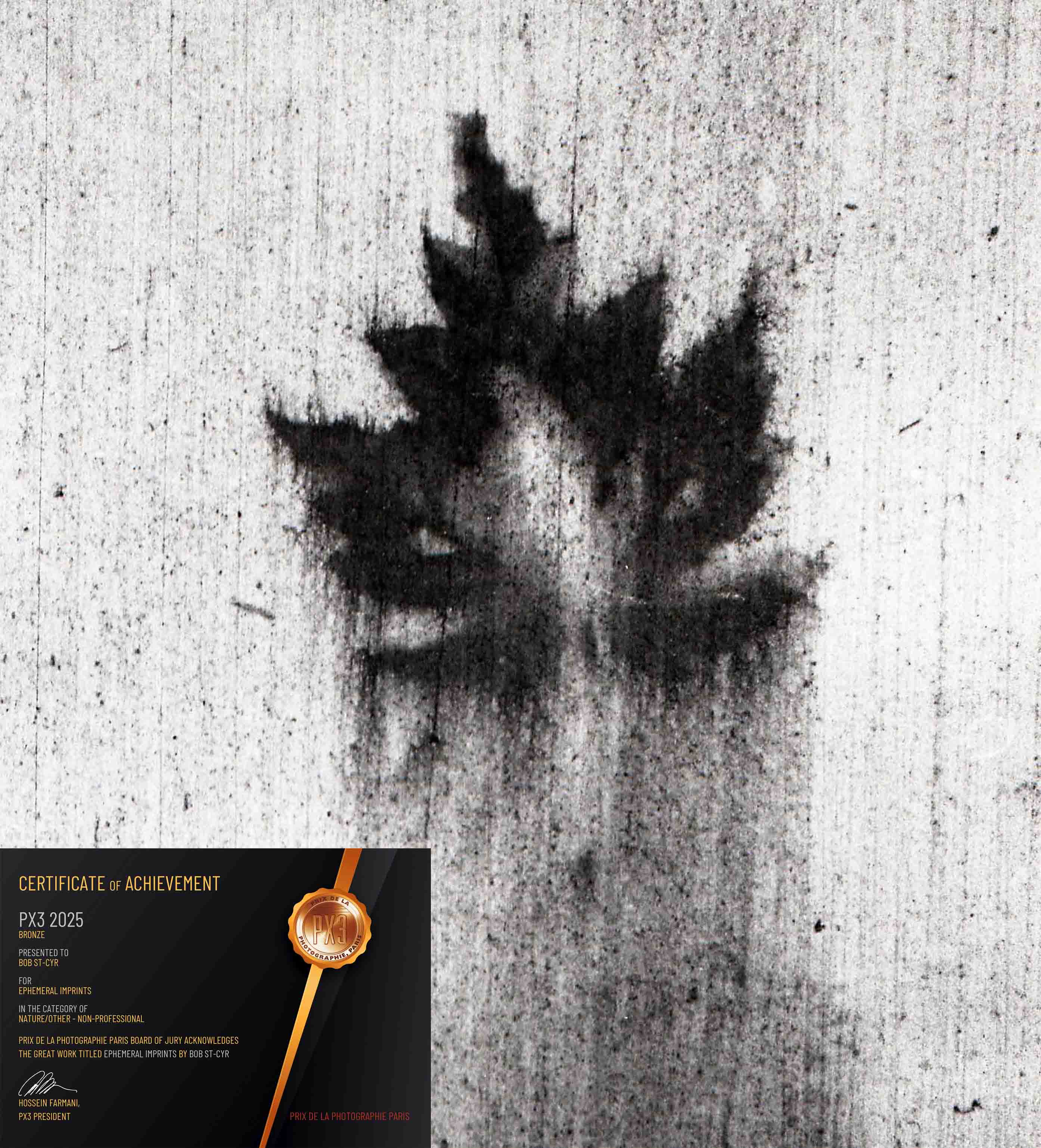 PX3 Bronze Award - Ephemeral Imprint