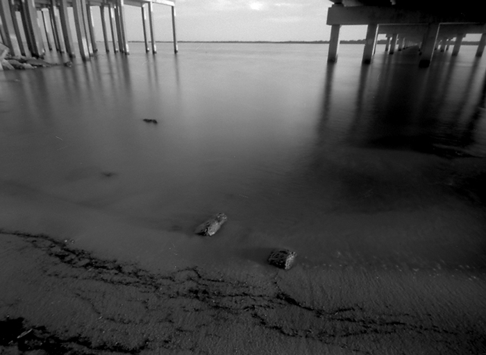 pylons at Panacea