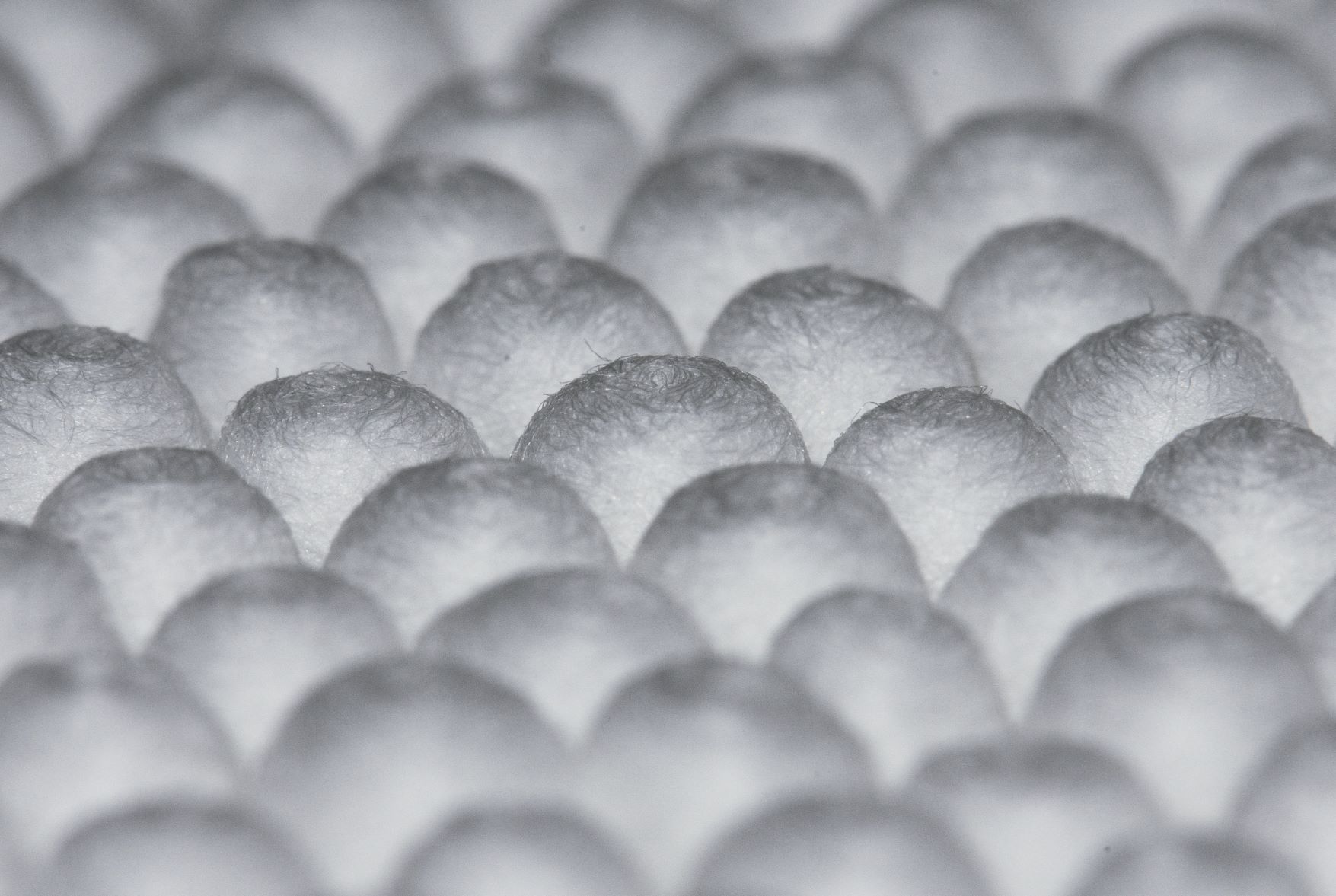 Q-Tips