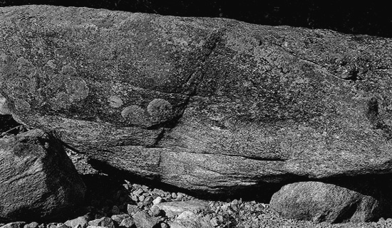 Quabbin _Lichen large Rock