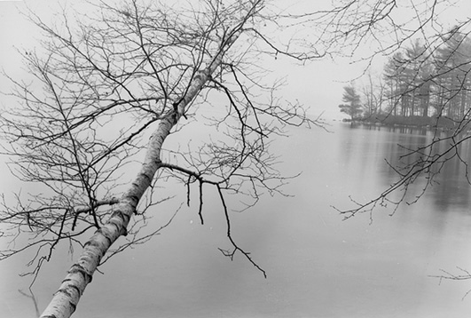 Quabbin - Birch & Island 06