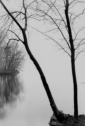 Quabbin - Two Tress 06