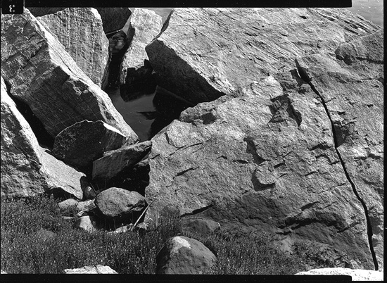 Quabbin - Water Hole