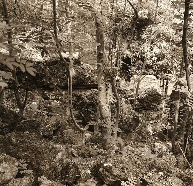 Quarry ruins, Leckhampton Hill, Gloucestershire, 1998