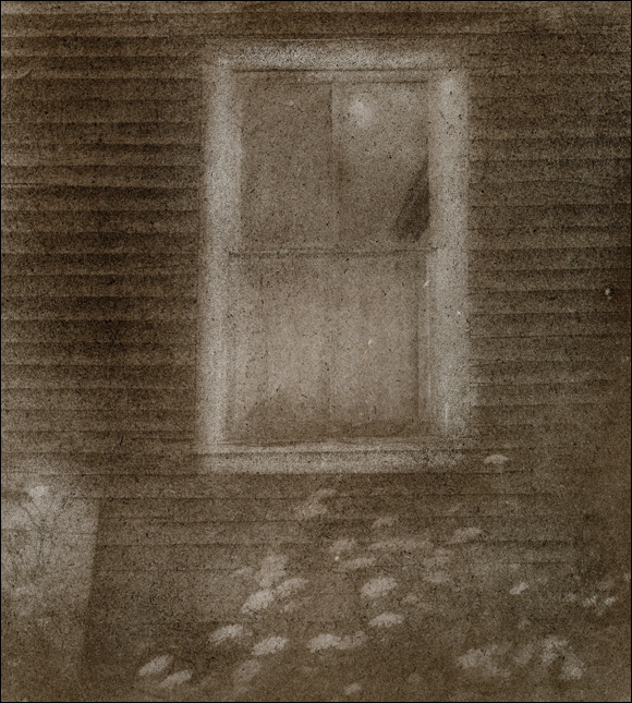 Queen Anne's Lace and Window