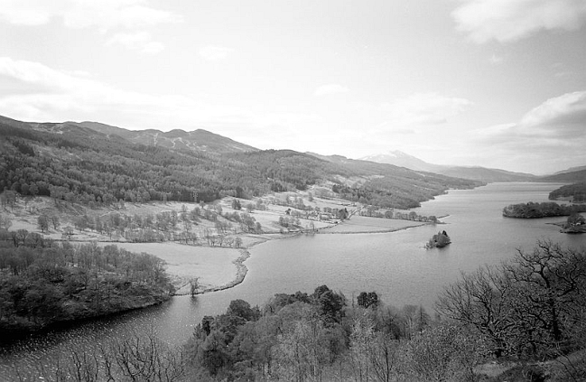 Queens View