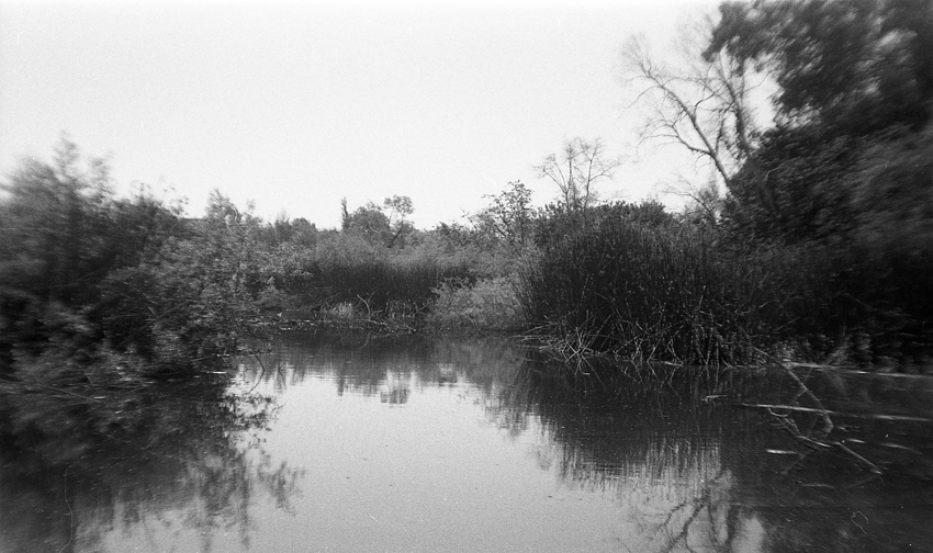 Quiet Cove