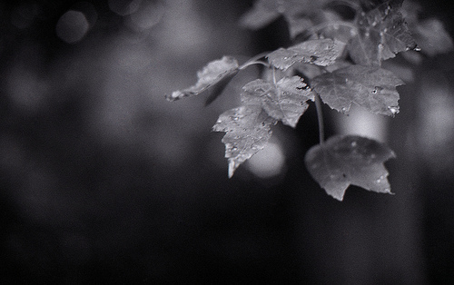Quiet