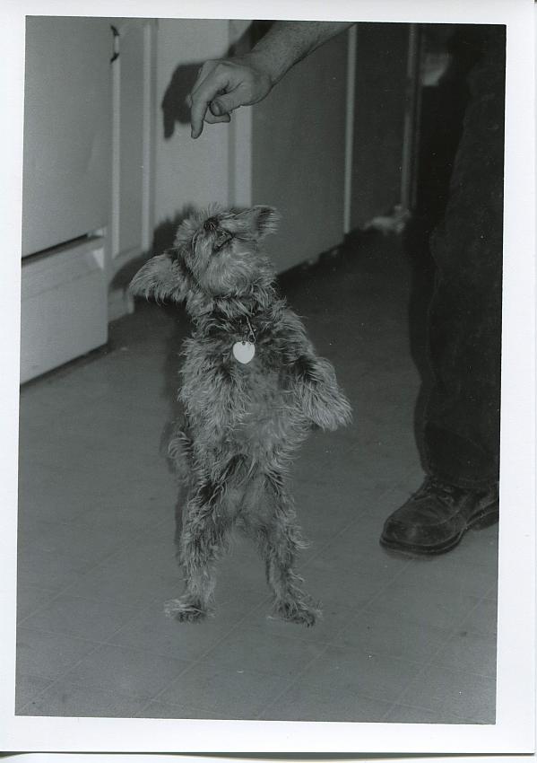 &quot;Lady&quot; dancing