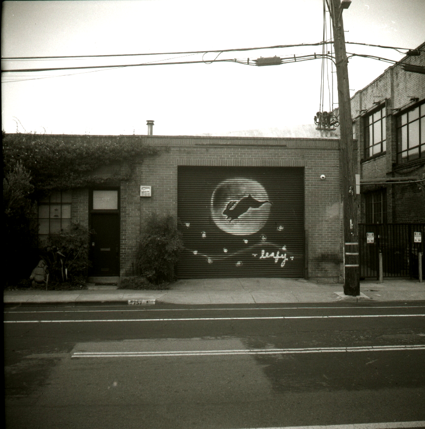 Rabbit, Emeryville, California