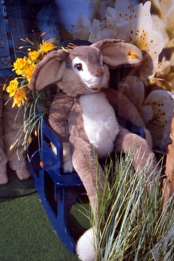 Rabbit with Grass