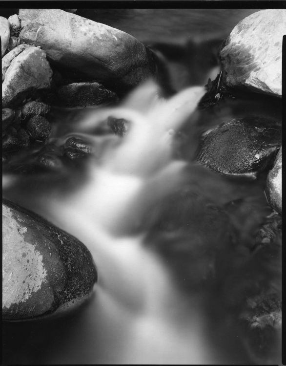 Rabit, Sespe Creek