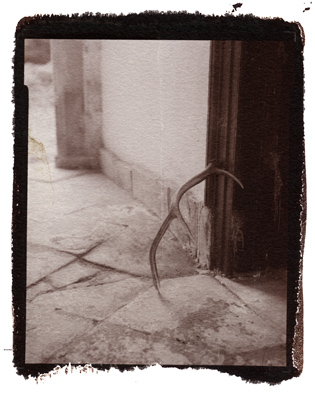 Raby Castle Salt Prints