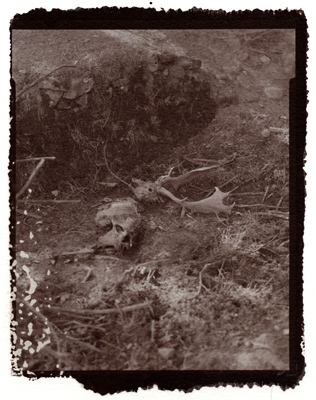 Raby Castle Salt Prints