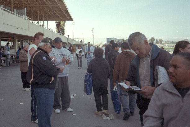 race fans-