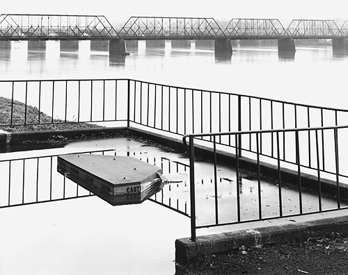 Rail and Bridges