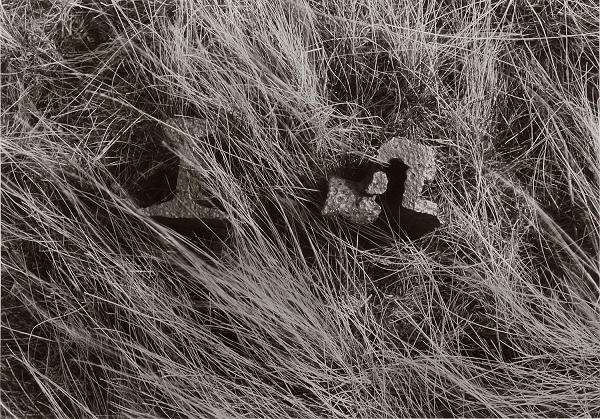 Rail Remains