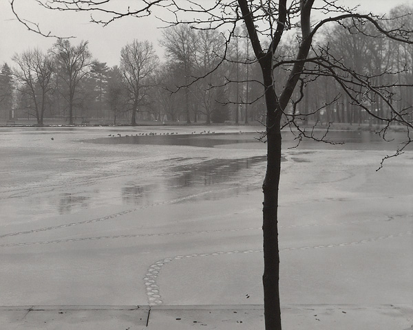 Rain, Lake Julia