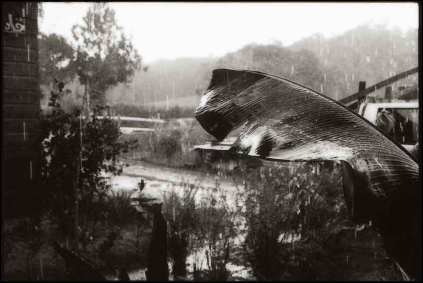Rain