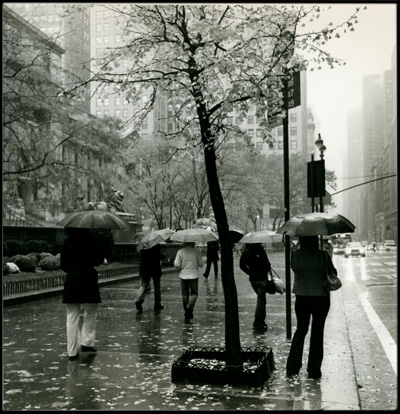 Rainy 5th