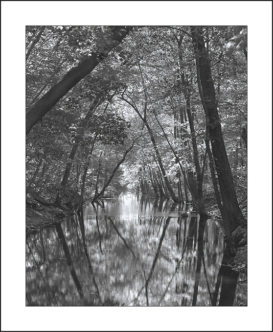 Ramapo Stream