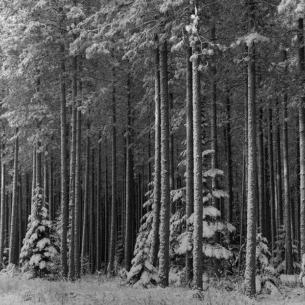 Rapid River Michigan