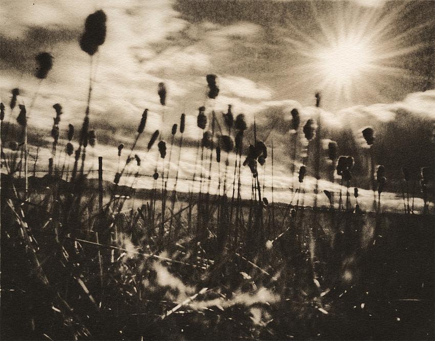 Rapture