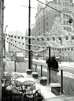 Rare Street Scene