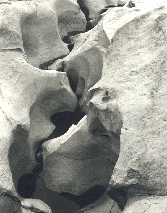 Rattlesnake Canyon Joshua Tree