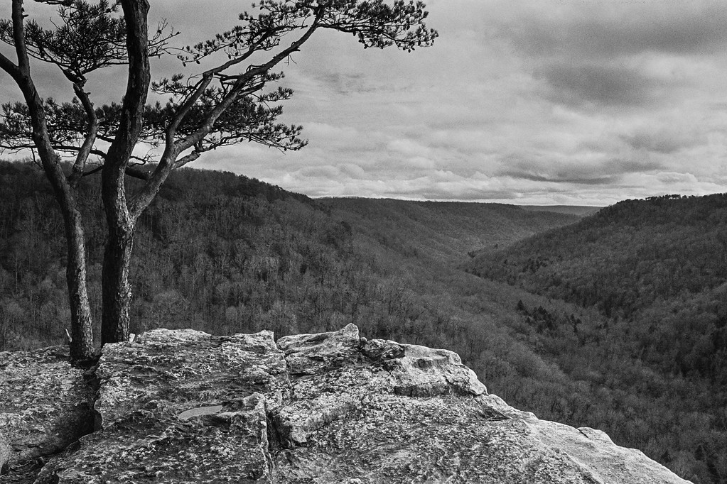 Ravens Point
