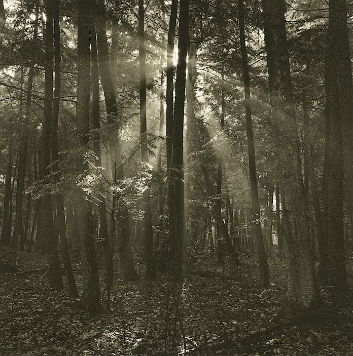 Rays (Print - Photostock 2009)