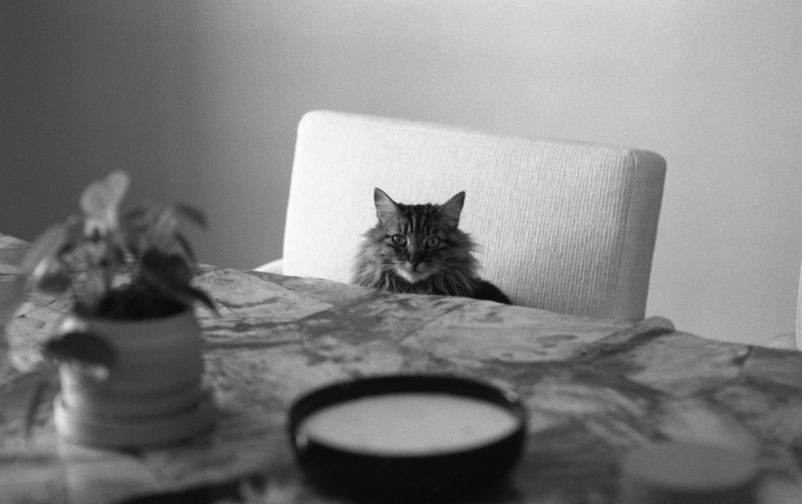 Ready for Lunch!
