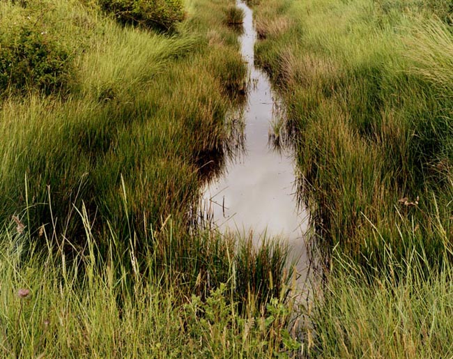 Reculver Ditch 2